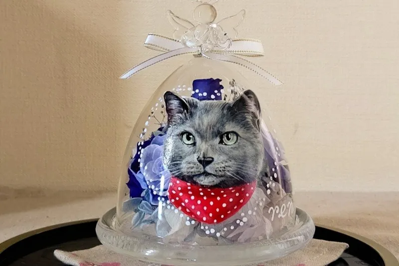 うちの子エンジェルさん