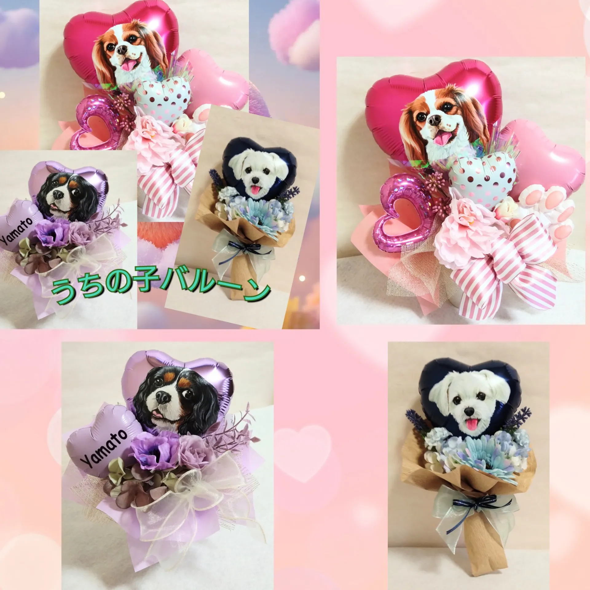 うちの子バルーン